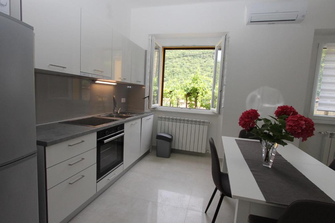 L Apartment Raša Eksteriør billede